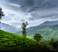 Wayanad